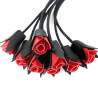 Correct Me Martinet Eight Roses 55cm